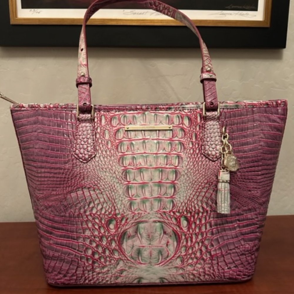 Beautiful Brahmin Medium Asher Julep Melbourne